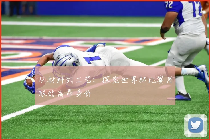 从材料到工艺：探究世界杯比赛用球的高昂身价
